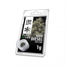 Sour Diesel jelly hash CBD 22%