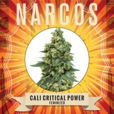 NARCOS Cali Critical Power