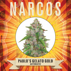 NARCOS Pablo's Gelato Gold