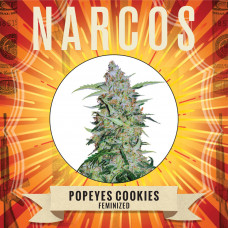 NARCOS Popeyes Cookies