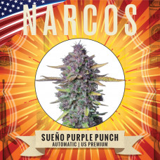 NARCOS Sueño Purple Punch
