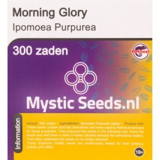 Morning Glory seeds